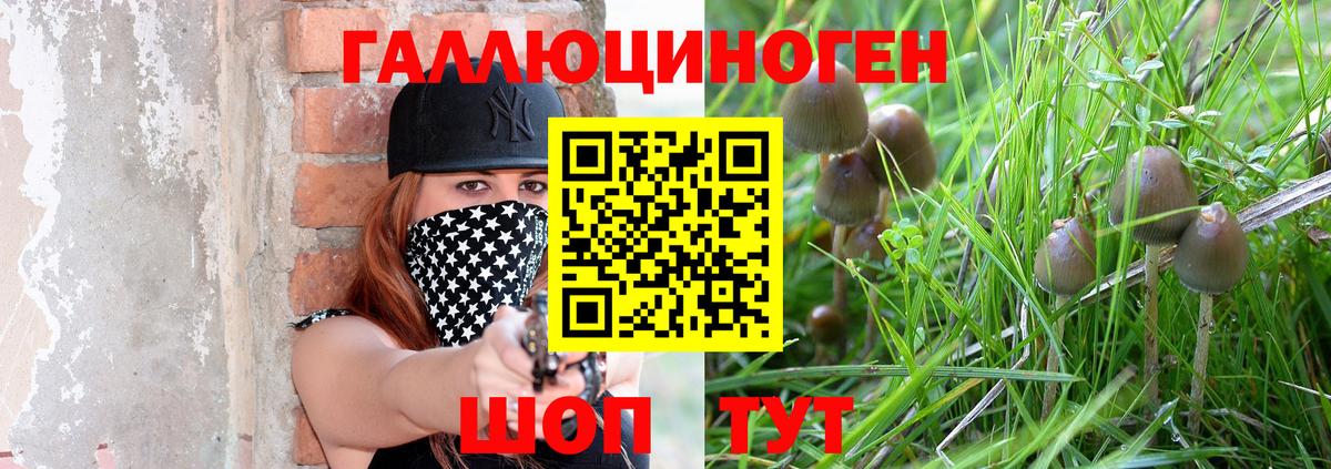 Галлюциногенные грибы ЛСД Добрянка