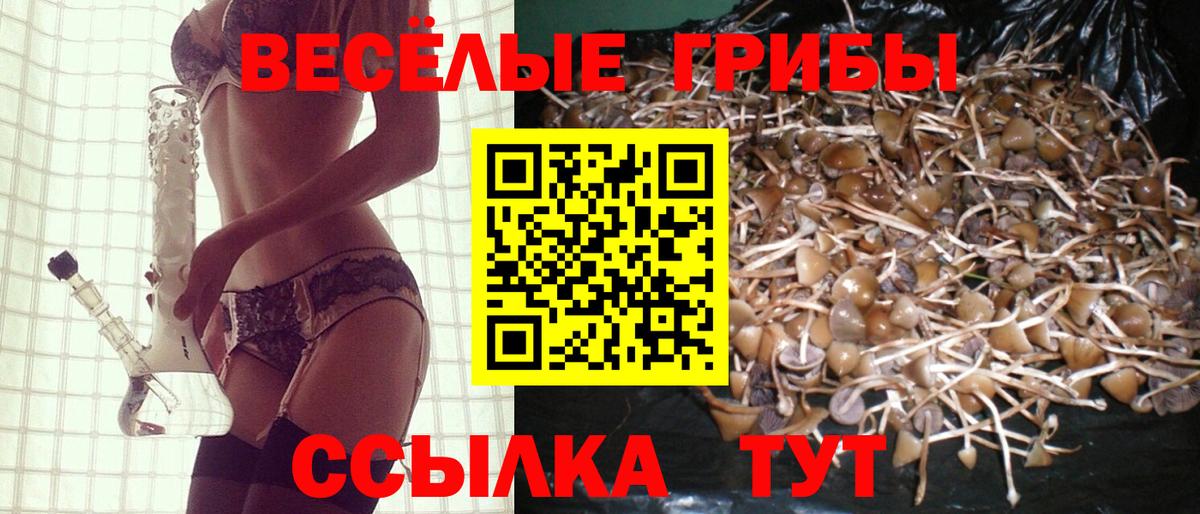 цены   Псилоцибиновые грибы мухоморы  Псилоцибиновые грибы Psilocybine cubensis  Вход с VPN  Добрянка 